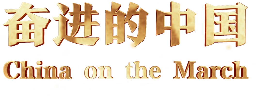 主标题